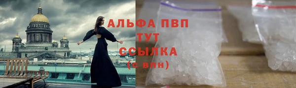 прущие грибы Сатка