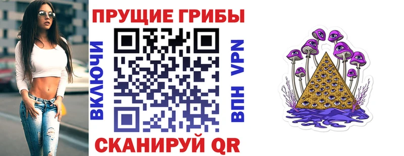 Псилоцибиновые грибы прущие грибы  Купить закладки  Порхов 